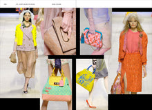 Load image into Gallery viewer, Louis Vuitton: Catwalk