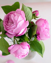 Load image into Gallery viewer, Pink Picasso Beautiful Blooms Painting Kit