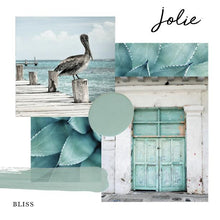 Load image into Gallery viewer, Jolie Paint Bliss - 4oz