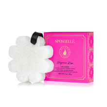 Load image into Gallery viewer, Spongelle Boxed Flower Sponge 14+ washes