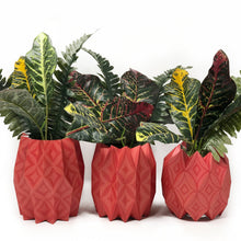 Load image into Gallery viewer, Lucy Grymes Cayenne Flower Vase Wraps - 3 in a box