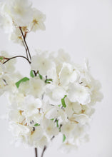 Load image into Gallery viewer, Faux White Cherry Blossom Branch