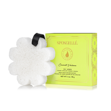Load image into Gallery viewer, Spongelle Boxed Flower Sponge 14+ washes
