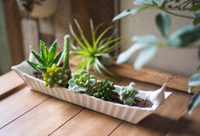 Load image into Gallery viewer, Ceramic Versatile Cracker Dish with Birds