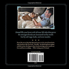 Load image into Gallery viewer, Devoted: 38 Extraordinary Tales of Love, Loyalty, and Life with Dogs