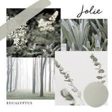 Load image into Gallery viewer, Jolie Paint Eucalyptus - Quart