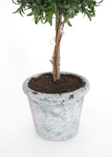 Load image into Gallery viewer, Faux Tea Leaf Topiary Ball Tree in Pot