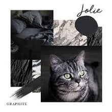 Load image into Gallery viewer, Jolie Paint Graphite - Quart