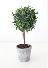 Load image into Gallery viewer, Faux Tea Leaf Topiary Ball Tree in Pot