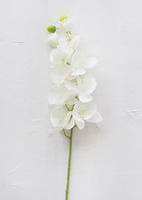 Load image into Gallery viewer, Real Touch Silk Orchid - 28"