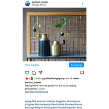Load image into Gallery viewer, Stylish Modern Brushed Gold & Black Vase