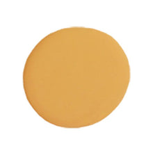 Load image into Gallery viewer, Jolie Paint Marigold - 4oz