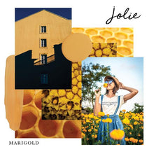 Load image into Gallery viewer, Jolie Paint Marigold - 4oz