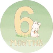Load image into Gallery viewer, Bunnies by the Bay - Growing Like a Weed Milestone Blanket