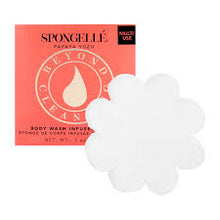 Load image into Gallery viewer, Spongelle Boxed Flower Sponge 14+ washes