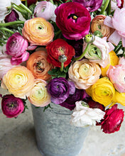 Load image into Gallery viewer, Pink Picasso "Petals For Me" Painting Kit