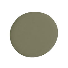 Load image into Gallery viewer, Jolie Paint Sage - 4oz