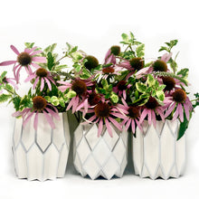 Load image into Gallery viewer, Lucy Grymes Silver Pearl with Silver Foil Flower Vase Wrapas - 3 in a box