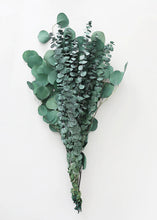 Load image into Gallery viewer, Preserved Mixed Green Eucalyptus Bundle