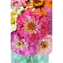 Load image into Gallery viewer, Pink Picasso Zealous Zinnia Painting Kit