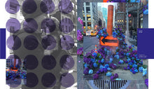 Load image into Gallery viewer, Flower Flash Book