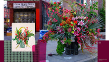 Load image into Gallery viewer, Flower Flash Book
