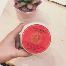 Load image into Gallery viewer, Sugar Dahlia Spongette