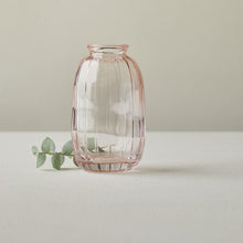 Load image into Gallery viewer, Optic Bud Vases - Blush -3 sizes