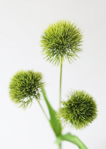 Faux Green Allium Ball Flower - 26"
