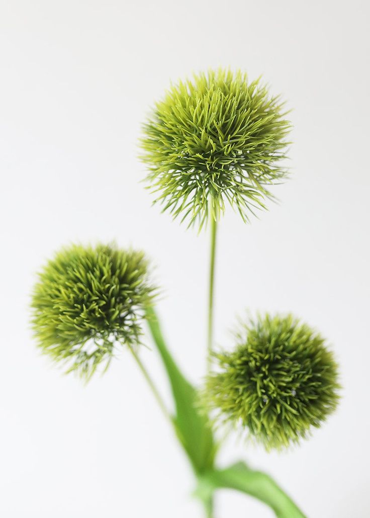 Faux Green Allium Ball Flower - 26