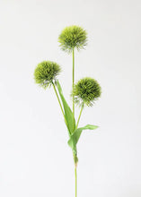 Load image into Gallery viewer, Faux Green Allium Ball Flower - 26&quot;
