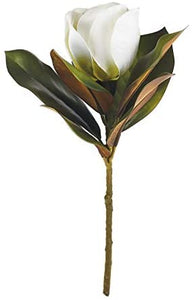 Magnolia Stem with Magnolia Flower - 31"