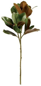 Grand Magnolia Stem - 32"