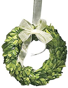 Boxwood Wreath with Cream Ribbon - 6"