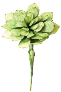 Kalalou Botanica - Green Flower Stem