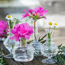 Load image into Gallery viewer, Charming Glass Bud Vases - 4 styles
