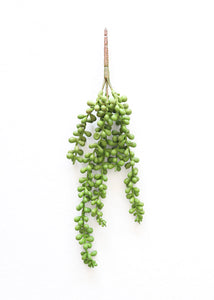 Hanging Succulent Artificial Sting of Pearl
