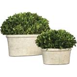 Preserved Oval Dome Topiary by Uttermost - Large 14x12x8