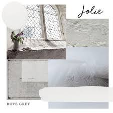 Jolie Paint Dove Grey - Quart