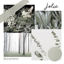 Jolie Paint Eucalyptus - Quart
