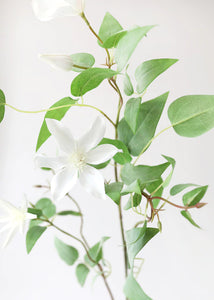 White Faux Beautiful Flowering Clematis Branch