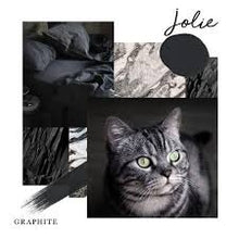 Load image into Gallery viewer, Jolie Paint Graphite - 4oz
