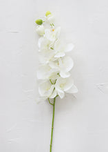 Load image into Gallery viewer, Real Touch Silk Orchid - 28&quot;
