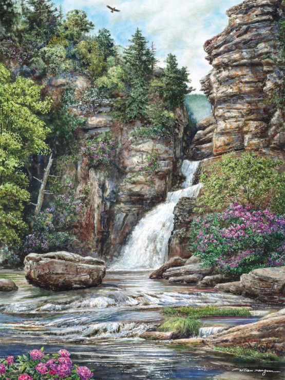 Heritage Linville Falls by William Mangum