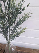 Load image into Gallery viewer, Italian Ruscus Stem - 21 Inches Long
