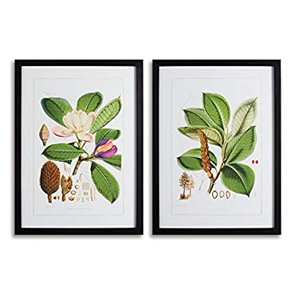 Magnolia Prints (Set of 2)