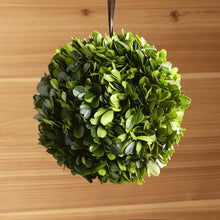 Load image into Gallery viewer, Preserved Boxwood Ball - 6&quot;
