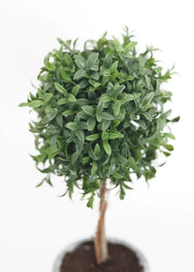 Faux Tea Leaf Topiary Ball Tree in Pot