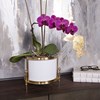 Load image into Gallery viewer, Regent Cachepot Brass/White by Uttermost
