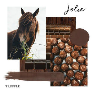 Jolie Paint Truffle - 4oz